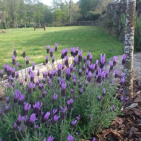 Bauernhof Quinta Da Regada Do Moinho