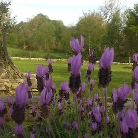 Bauernhof Quinta Da Regada Do Moinho Peva