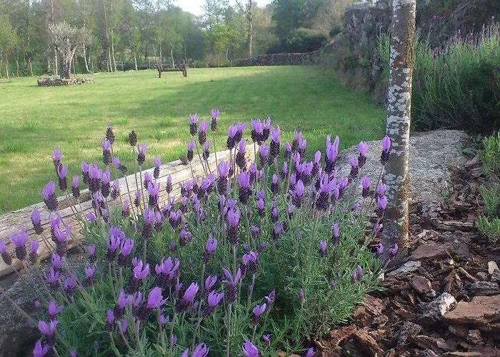 Alojamento de Turismo Rural Quinta Da Regada Do Moinho