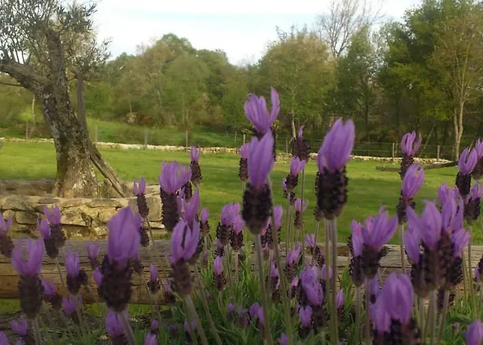 Alojamento de Turismo Rural Quinta Da Regada Do Moinho Peva